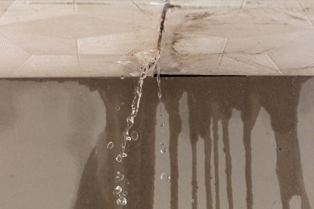 Professional Water Extraction technician working in Cortland, NY
